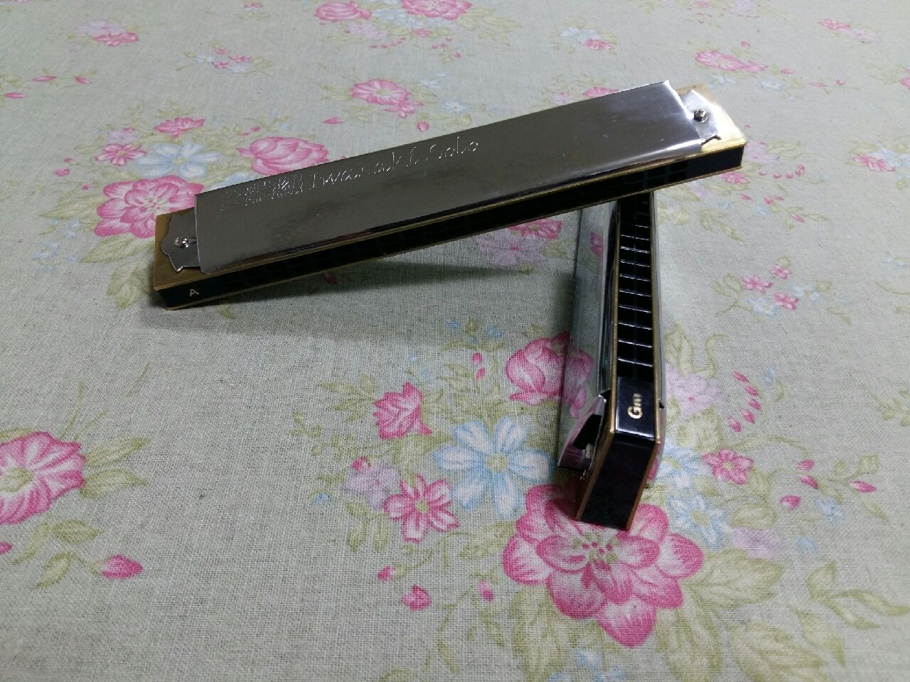 237513032_u7GRtKnA_d4675428596face8fd11cc384389a03d25d29297.jpg 이미지크게보기